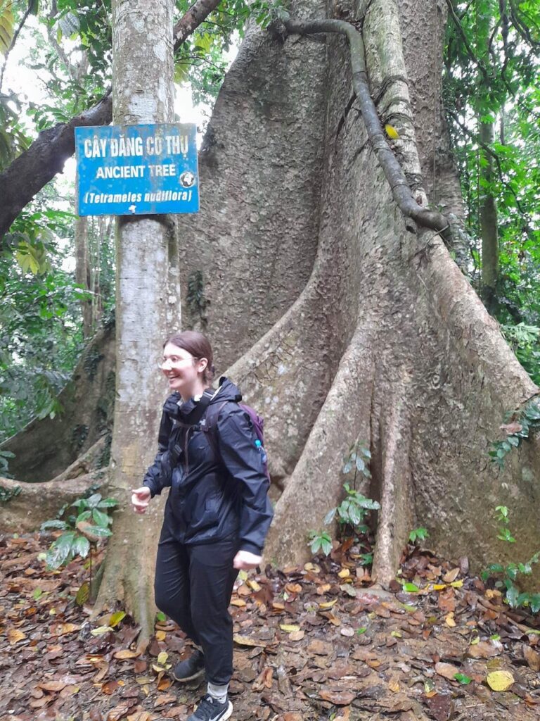 From Ninh Binh: Cuc Phuong National Park Day Tour - Full Moon Travel